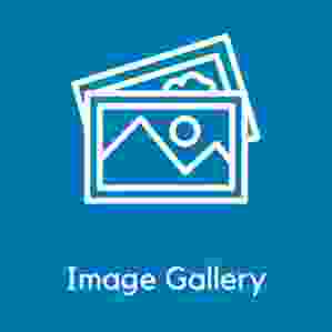 Magento 2 Image Gallery