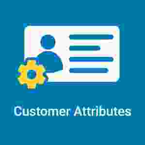 Magento 2 Customer Attributes