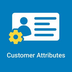 Magento 2 Customer Attributes
