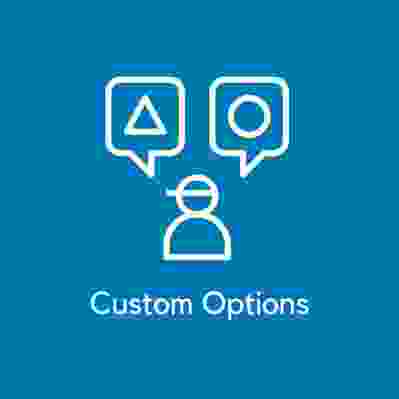 Magento 2 Custom Options 