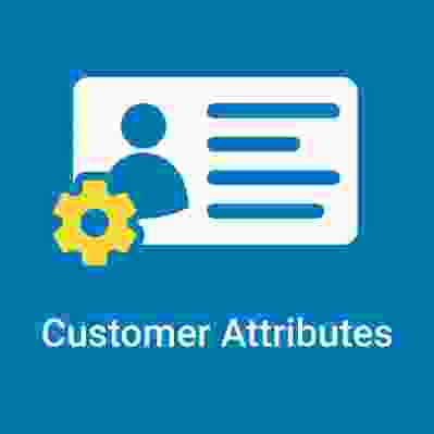 Magento 2 Customer Attributes