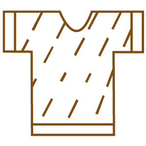 shirt-mini-icon