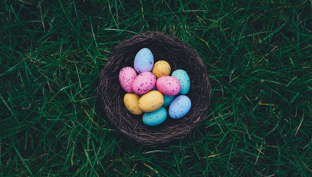 egg1