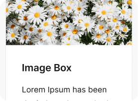 Image Box block