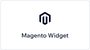 Magento Widget