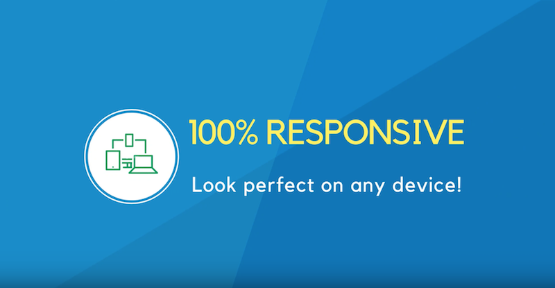 100% Responsive