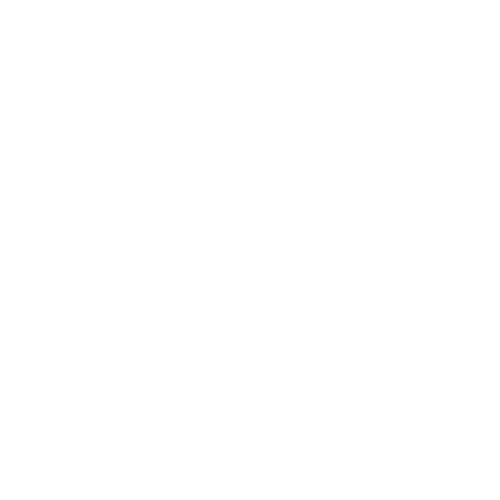 Magento 2 PDF Customizer | QR Code