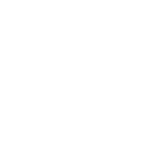 Magento 2 PDF Customizer | Separator